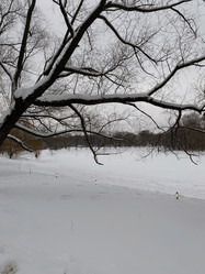 Similar image 21130990