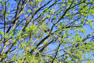 Similar image 21131088