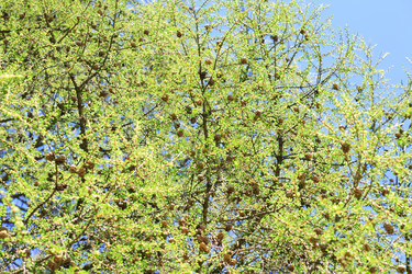 Similar image 21131092