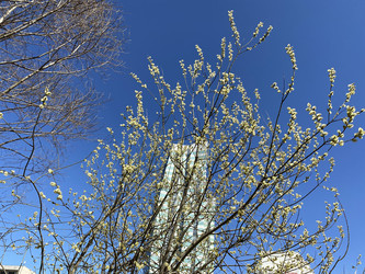 Similar image 21131094