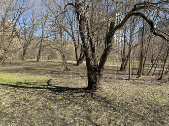 Similar image 21131100