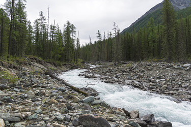 Similar image 21104455