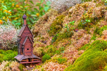 Similar image 21104458