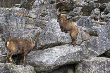 Similar image 21104460