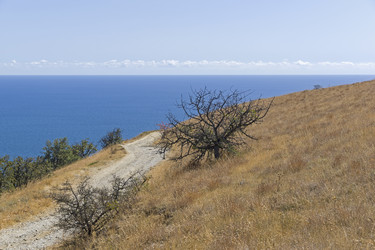 Similar image 21104474