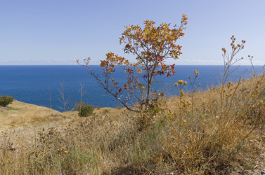 Similar image 21104475