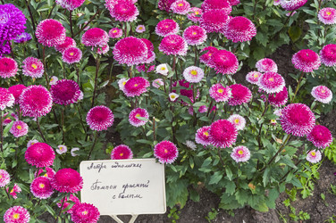 Similar image 21104478