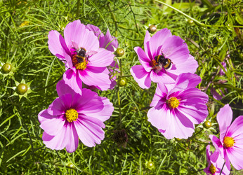 Similar image 21104479