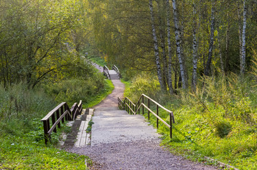 Similar image 21104480