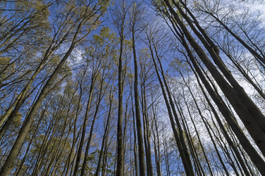 Similar image 21104484