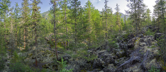 Similar image 21104492