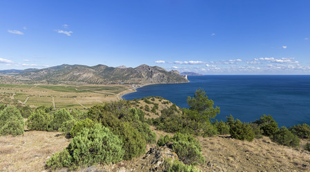 Similar image 21104494