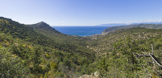 Similar image 21104495