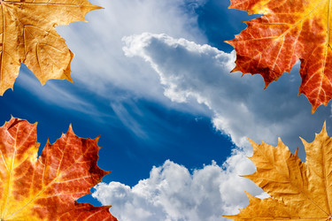 Similar image 21107964