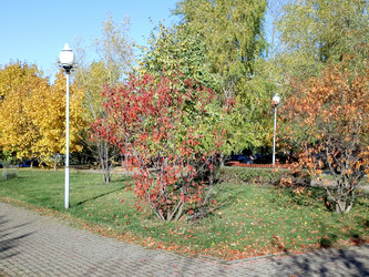 Similar image 21127100