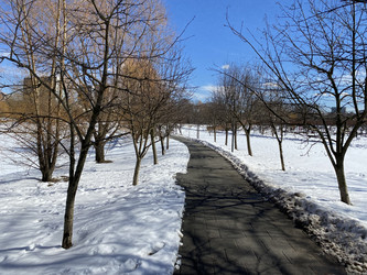 Similar image 21127109