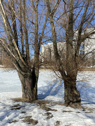 Similar image 21127685