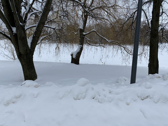 Similar image 21130798