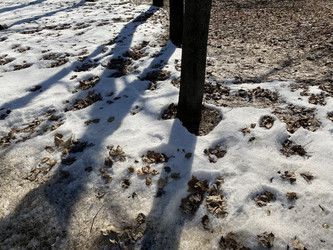 Similar image 21130800