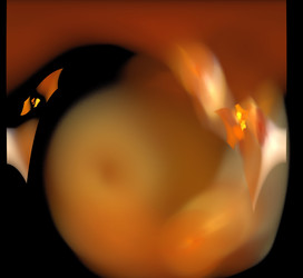 Similar image 21131001