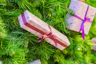 Similar image 21112260