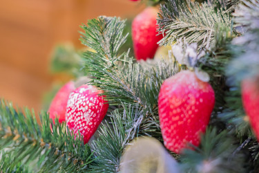 Similar image 21112264