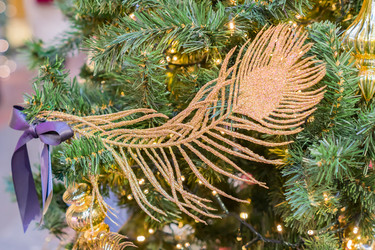 Similar image 21112269