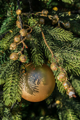 Similar image 21112324