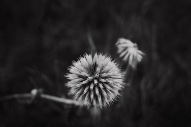 Similar image 21104661