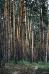 Similar image 21107018