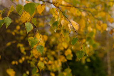 Similar image 21113688