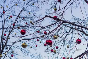 Similar image 21112343