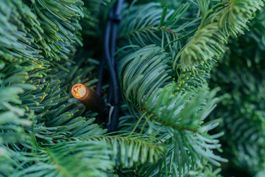 Similar image 21112345