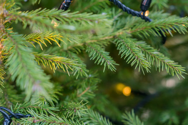 Similar image 21112347