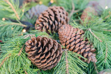 Similar image 21112355