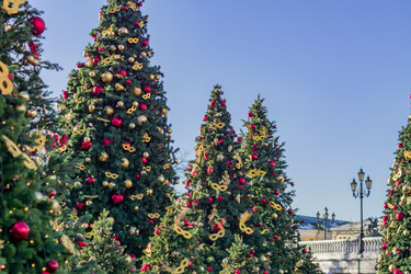 Similar image 21104677