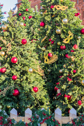 Similar image 21104688