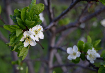 Similar image 21104701