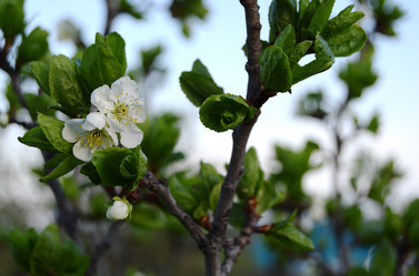 Similar image 21104702