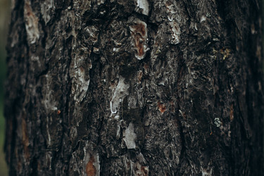 Similar image 21107075