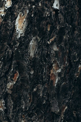 Similar image 21107076