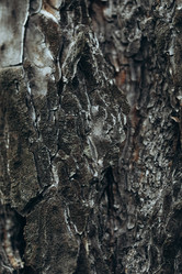 Similar image 21107077