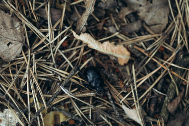 Similar image 21107078