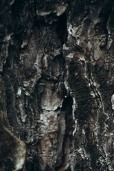 Similar image 21107079