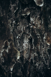 Similar image 21107081