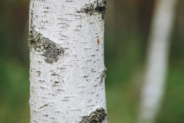 Similar image 21107083