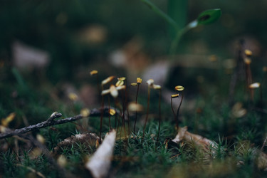 Similar image 21107084