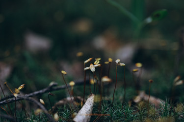 Similar image 21107086