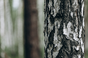 Similar image 21107089