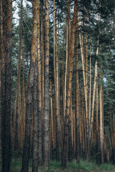 Similar image 21107090